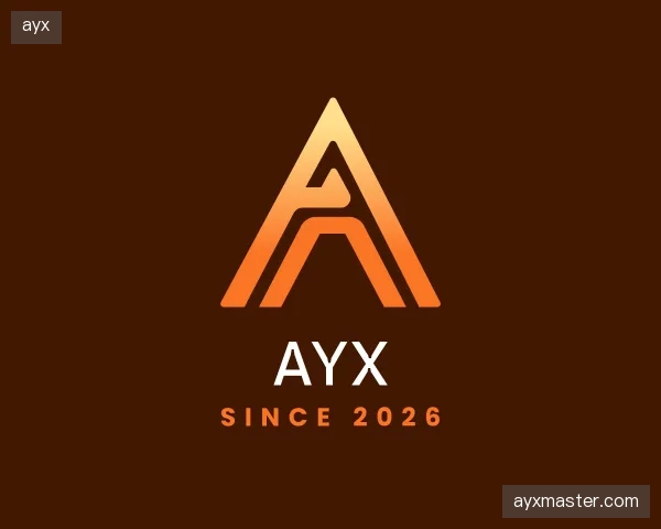 介绍ayx公司